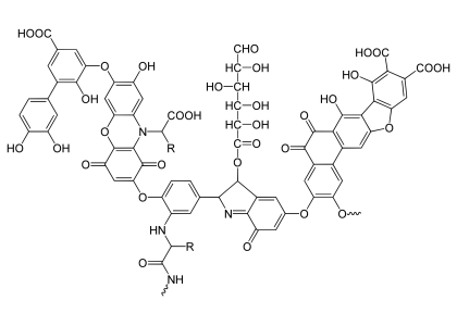 Organic Sodium Humate 