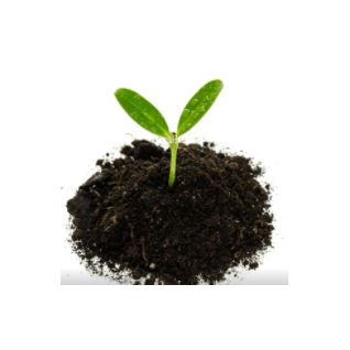 Humic acid Potassium Salt (Potassium humate) (K-humate) Organic NPK fertilizer